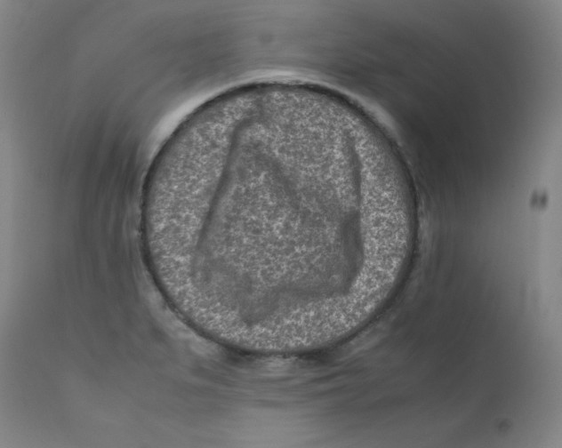 X0000112171279200909041142