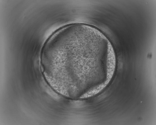 X0000112171280200909041142