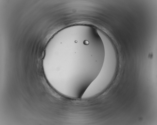 X0000112171281200909041142