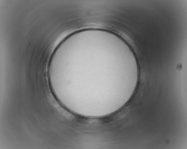 X0000112171283200909041141