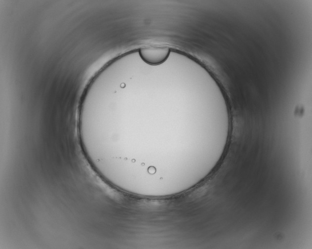 X0000112171286200909041141