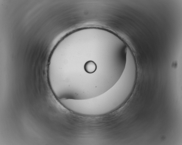 X0000112171288200909041141