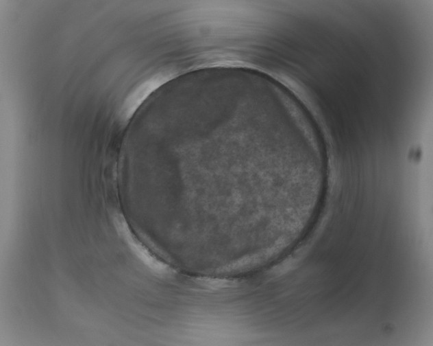 X0000112171289200909041141