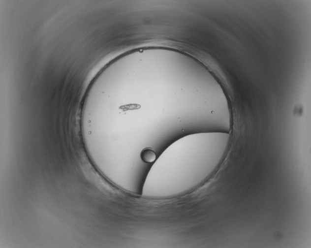 X0000112171292200909041141