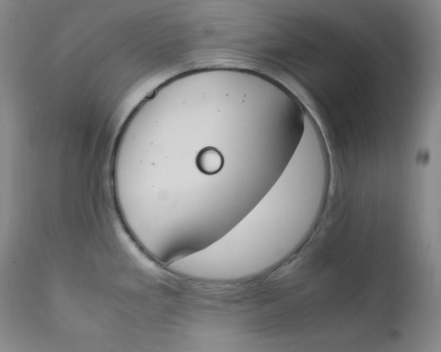 X0000112171293200909041141