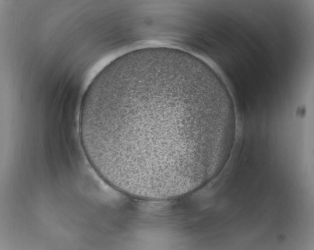 X0000112171294200909041141