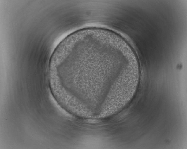 X0000112171295200909041141