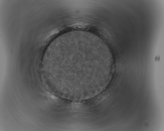 X0000112171297200909041140