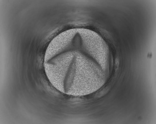 X0000112171300200909041140