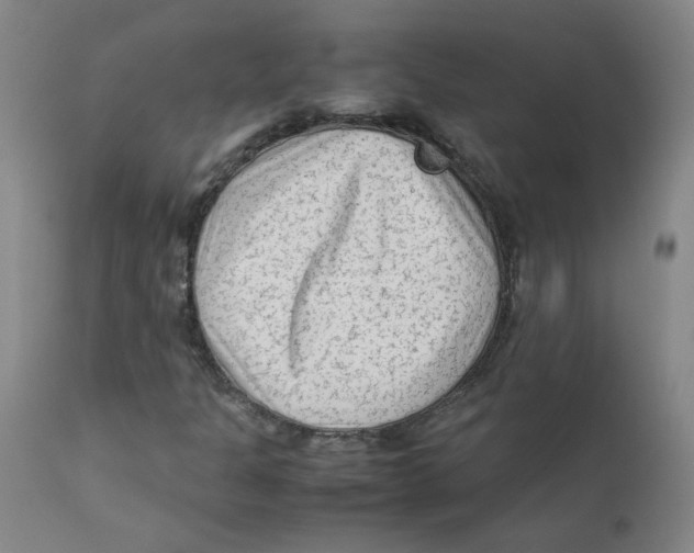 X0000112171301200909041140