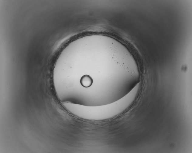 X0000112171304200909041140