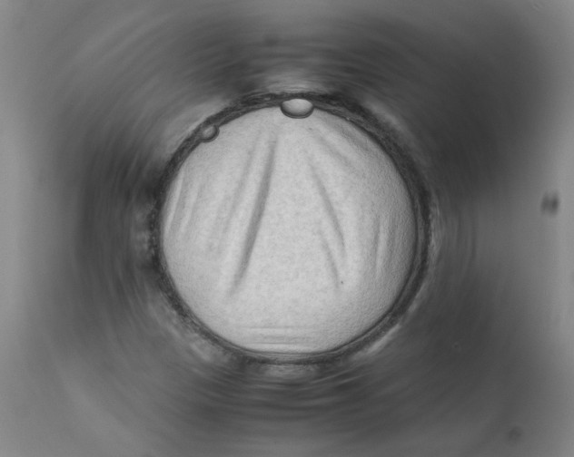 X0000112171305200909041140