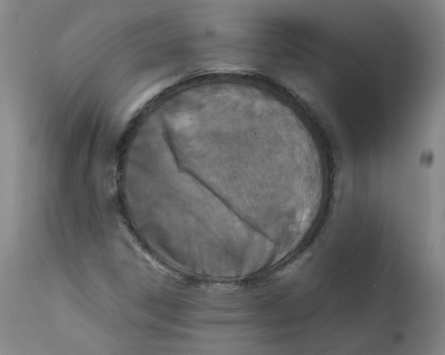 X0000112171306200909041140