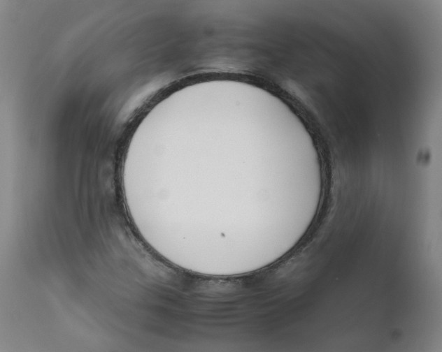 X0000112171307200909041140