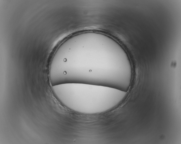 X0000112171308200909041140