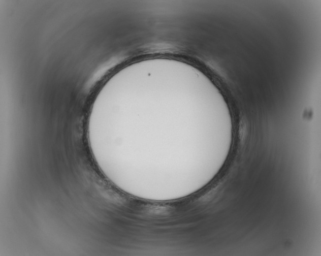 X0000112171309200909041140