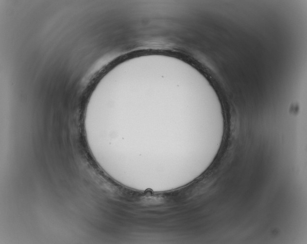 X0000112171315200909041140