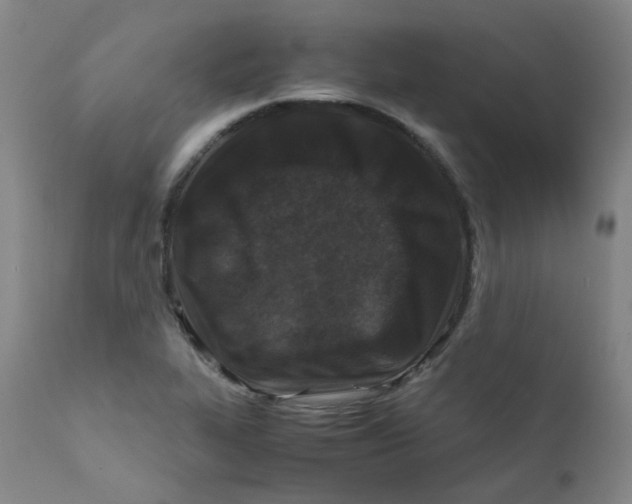 X0000112171319200909041141