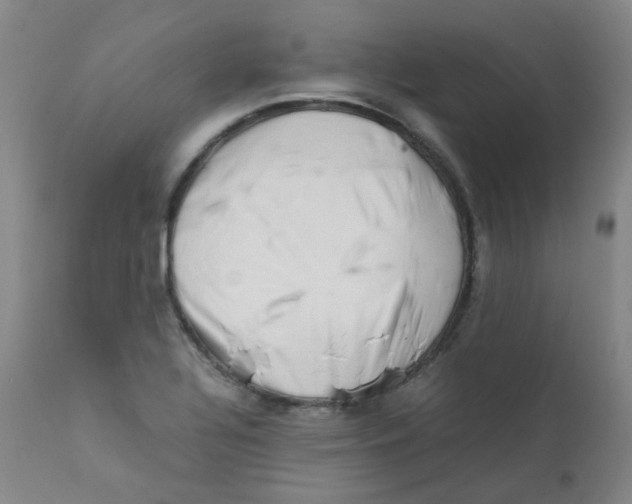 X0000112171320200909041141