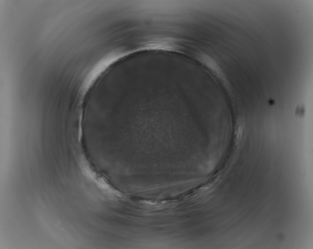 X0000112171323200909041141