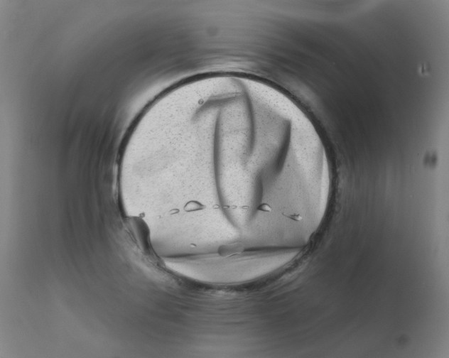 X0000112171324200909041141