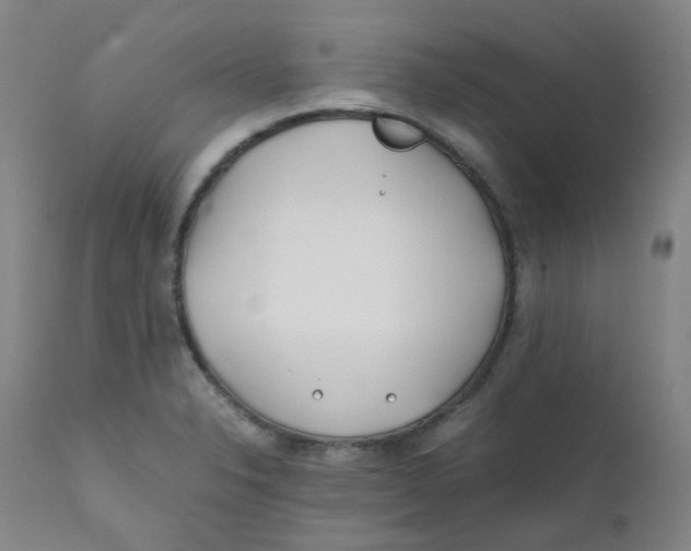 X0000112171326200909041141