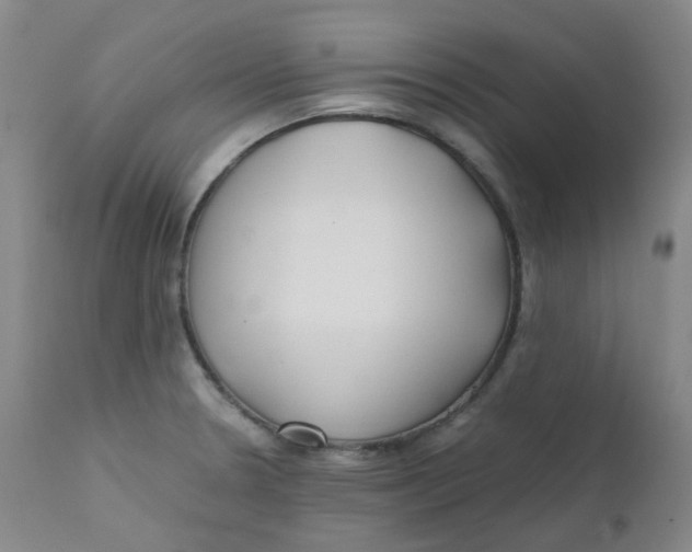 X0000112171330200909041141