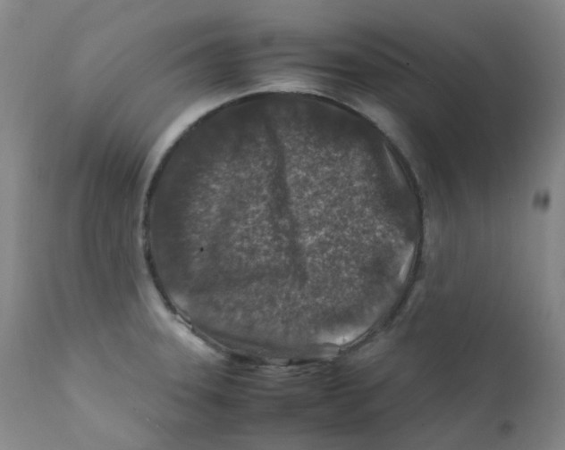 X0000112171331200909041141