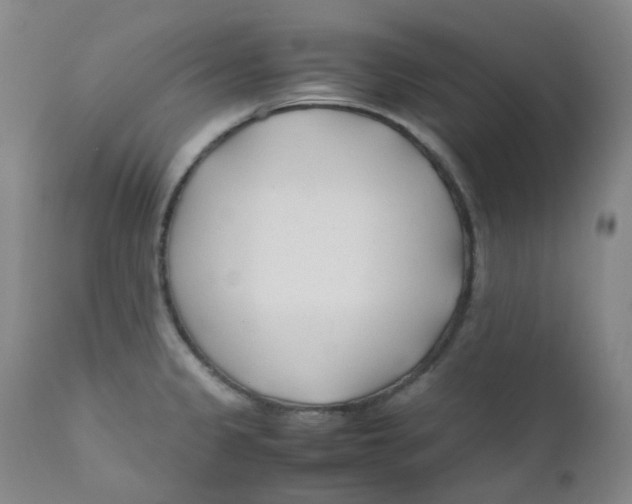 X0000112171333200909041141