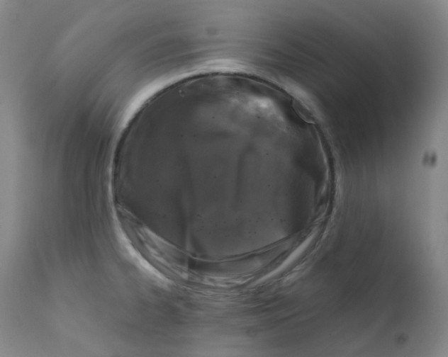 X0000112171334200909041141