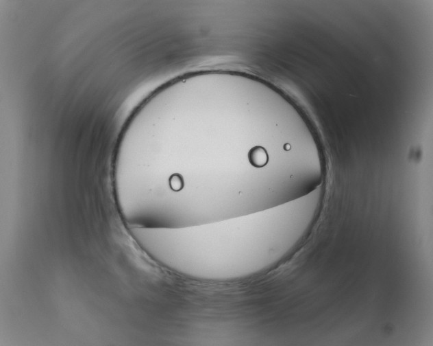 X0000112171336200909041141