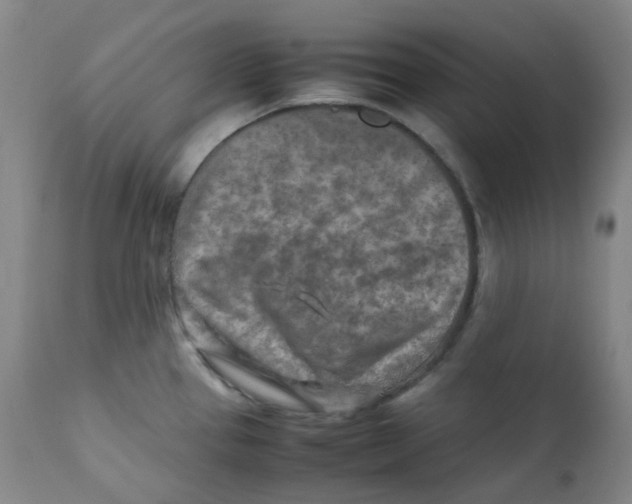 X0000112171337200909041141