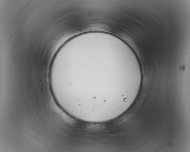 X0000112171339200909041141