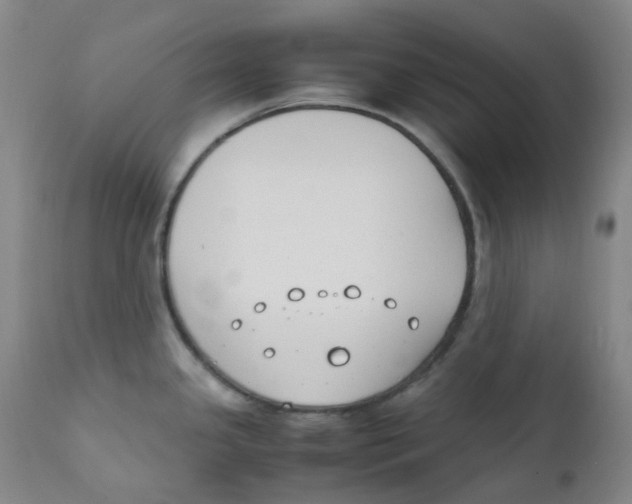 X0000112171341200909041141