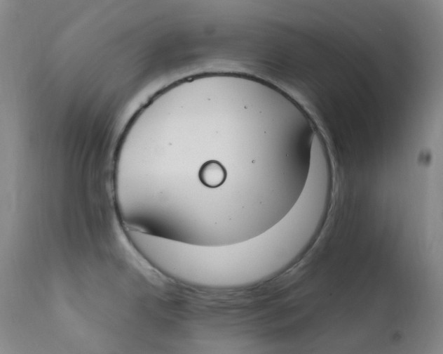 X0000112171342200909041141