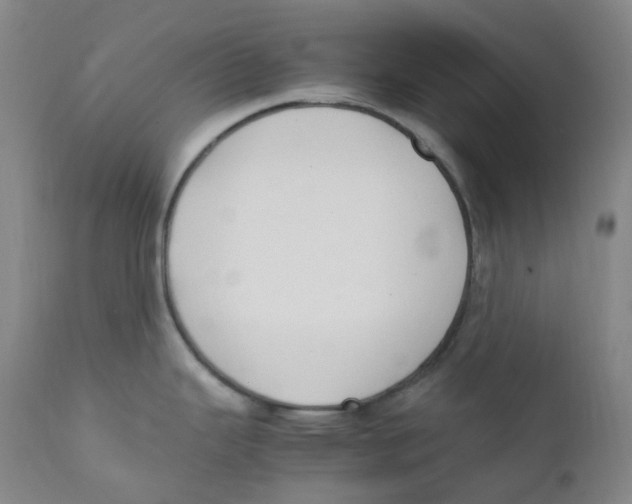 X0000112171343200909041141