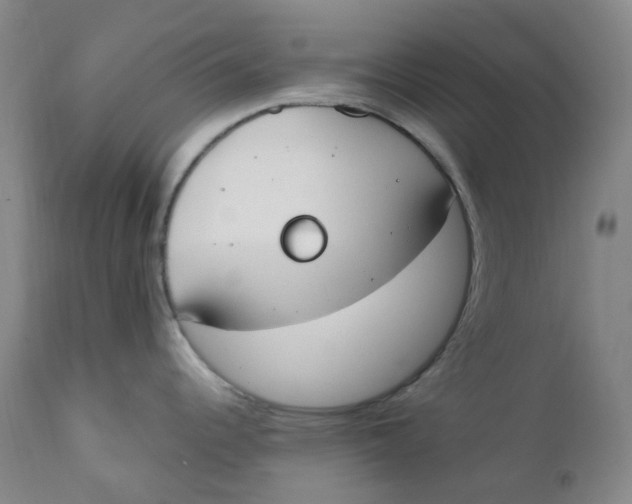 X0000112171344200909041141