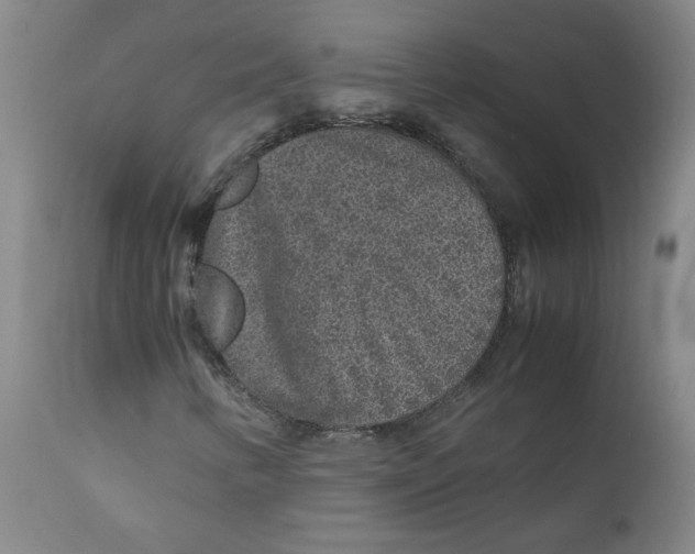 X0000112171346200909041140