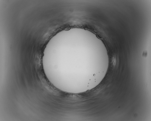 X0000112171348200909041140