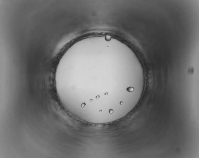 X0000112171352200909041140