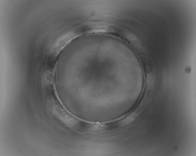 X0000112171353200909041140