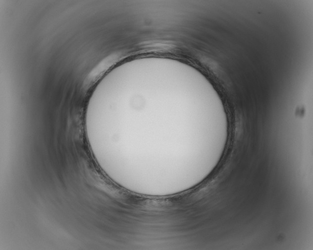 X0000112171354200909041140