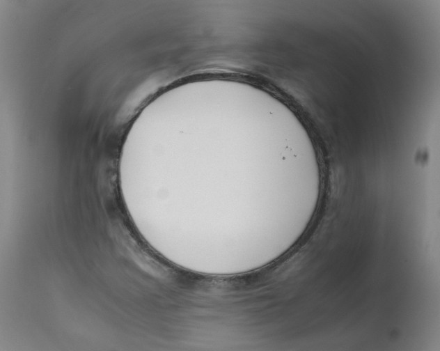 X0000112171355200909041140