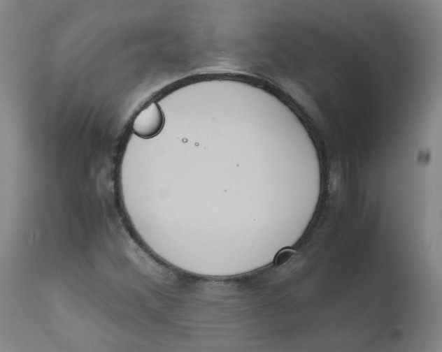 X0000112171356200909041140