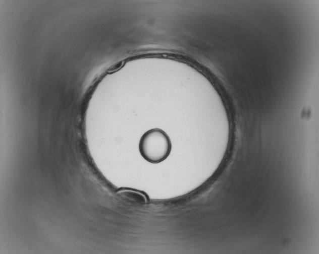 X0000112171357200909041140