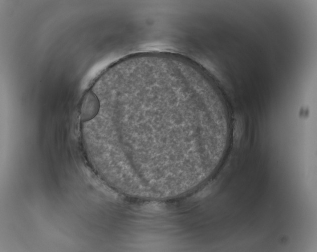 X0000112171358200909041140