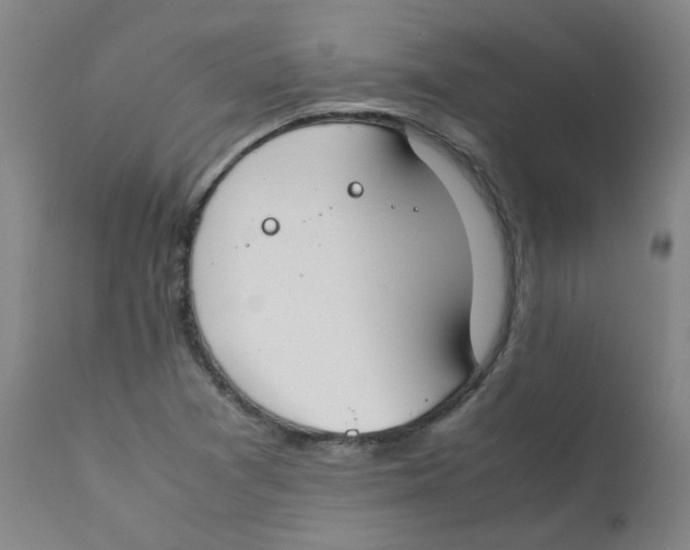 X0000112171361200909041140