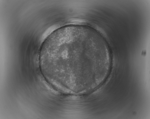 X0000112171362200909041140