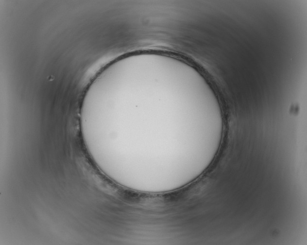 X0000112171363200909041140