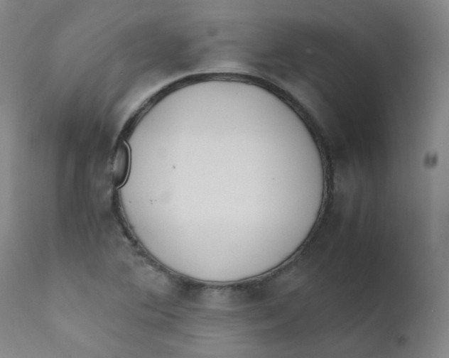 X0000112171364200909041140